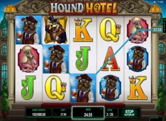 Hound hotel