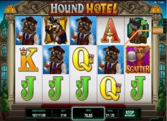 Hound hotel