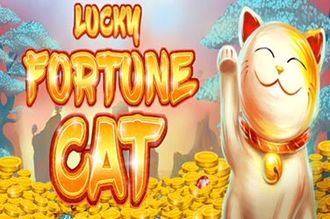 Lucky fortune cat