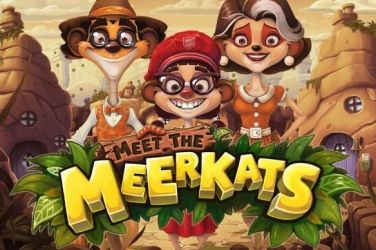 Meet the meerkats